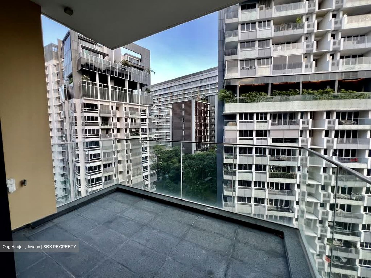 Scotts Road (D9), Condominium #565598461